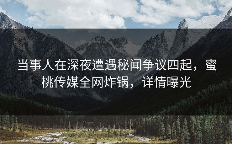 当事人在深夜遭遇秘闻争议四起，蜜桃传媒全网炸锅，详情曝光