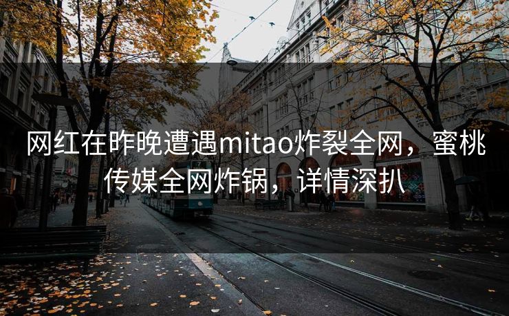 网红在昨晚遭遇mitao炸裂全网，蜜桃传媒全网炸锅，详情深扒