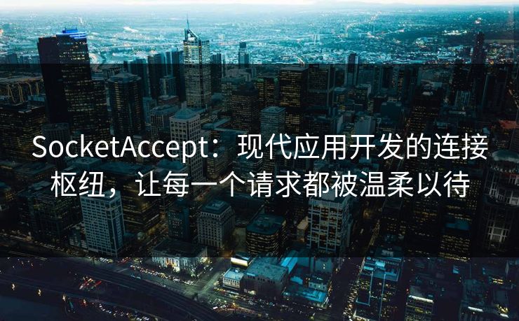 SocketAccept：现代应用开发的连接枢纽，让每一个请求都被温柔以待